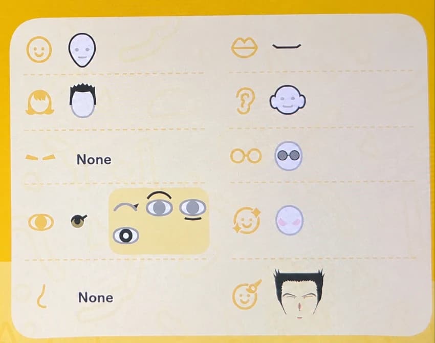 Leorio Paradinight Mii features guide