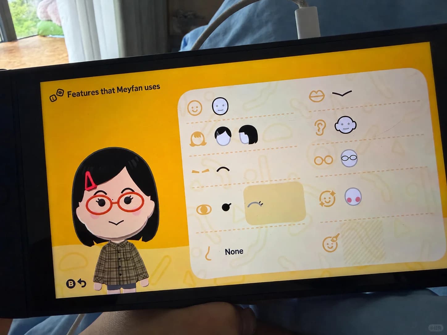 Mayfan Mii features guide