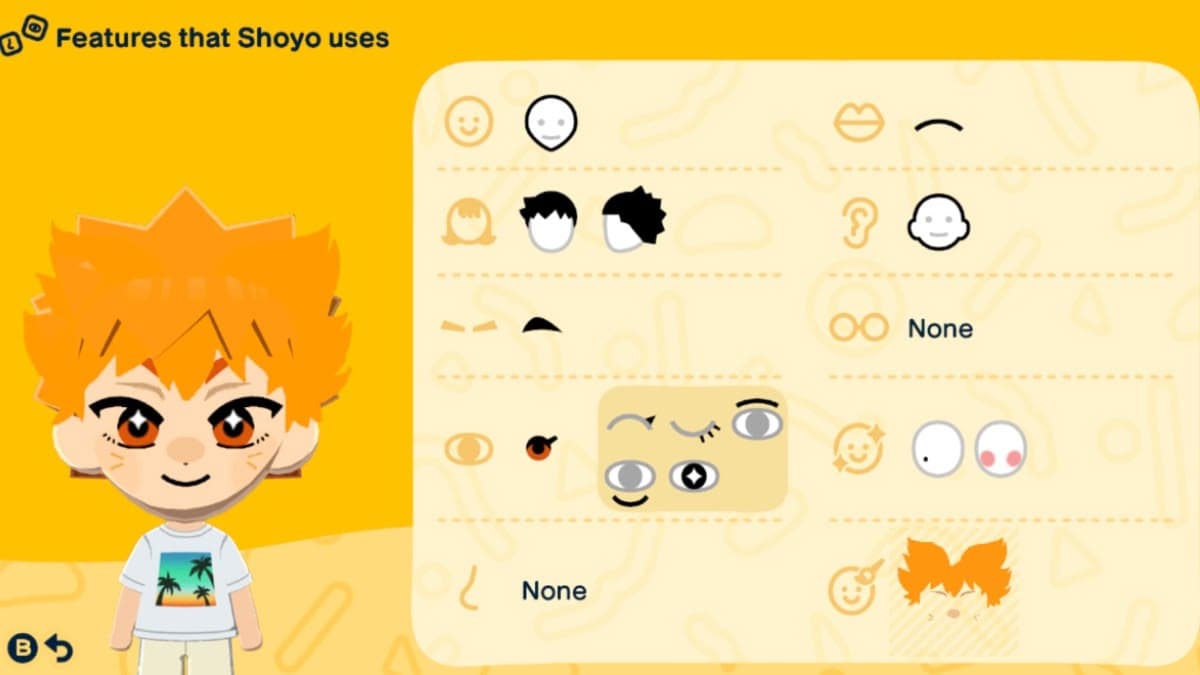 Shoyo Mii features guide