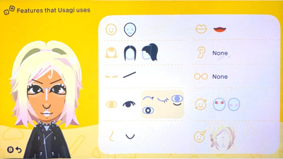 Usagi Mii features guide
